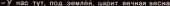 983x38