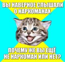500x479