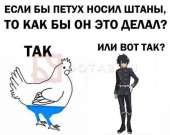 604x482