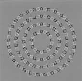 431x426