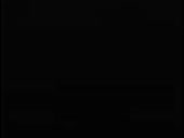 320x240