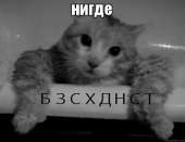 600x463