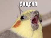 599x449