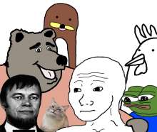 667x565