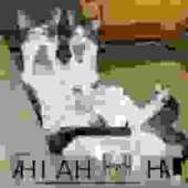 300x300