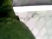 480x360