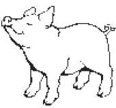 1000x940