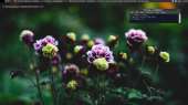 1366x768
