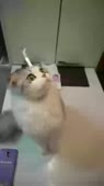358x640