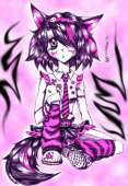 346x500
