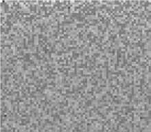 570x498