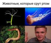720x620