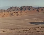 450x360