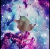 368x360
