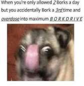 223x226