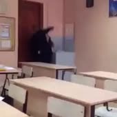 360x360