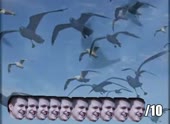 490x360