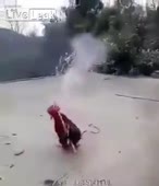 310x360