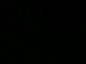 320x240