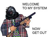 600x456