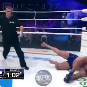 360x360