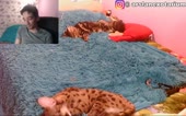 576x360