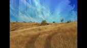 640x360