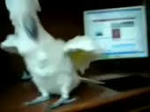 320x240