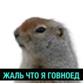 1280x1280