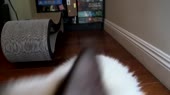 1280x720