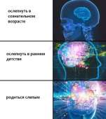 537x604