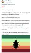 416x702