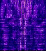 362x398