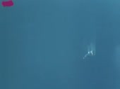 480x360