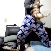 360x360