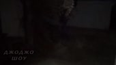 640x360