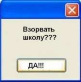 336x338