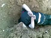 320x240