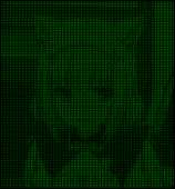 809x868