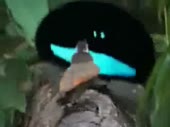 320x240