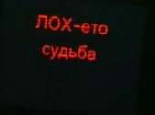 320x240