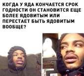 540x491