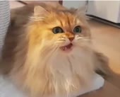 360x292