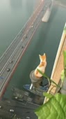 360x640