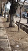 406x720
