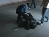 320x240