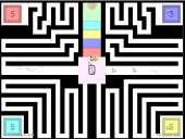 815x616
