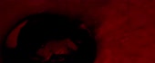 1920x800