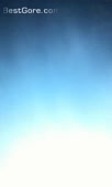 432x720