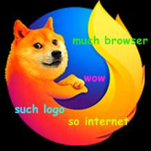 384x384